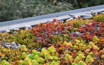 the cost of Woolbeding green roof installation