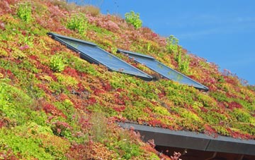 Woolbeding living roof systems