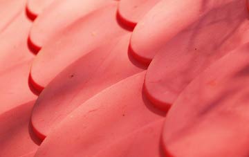 Woolbeding plastic roof costs