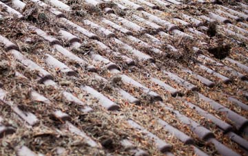 Woolbeding roof cleaning companies