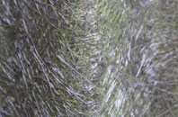 Woolbeding fibreglass roof work